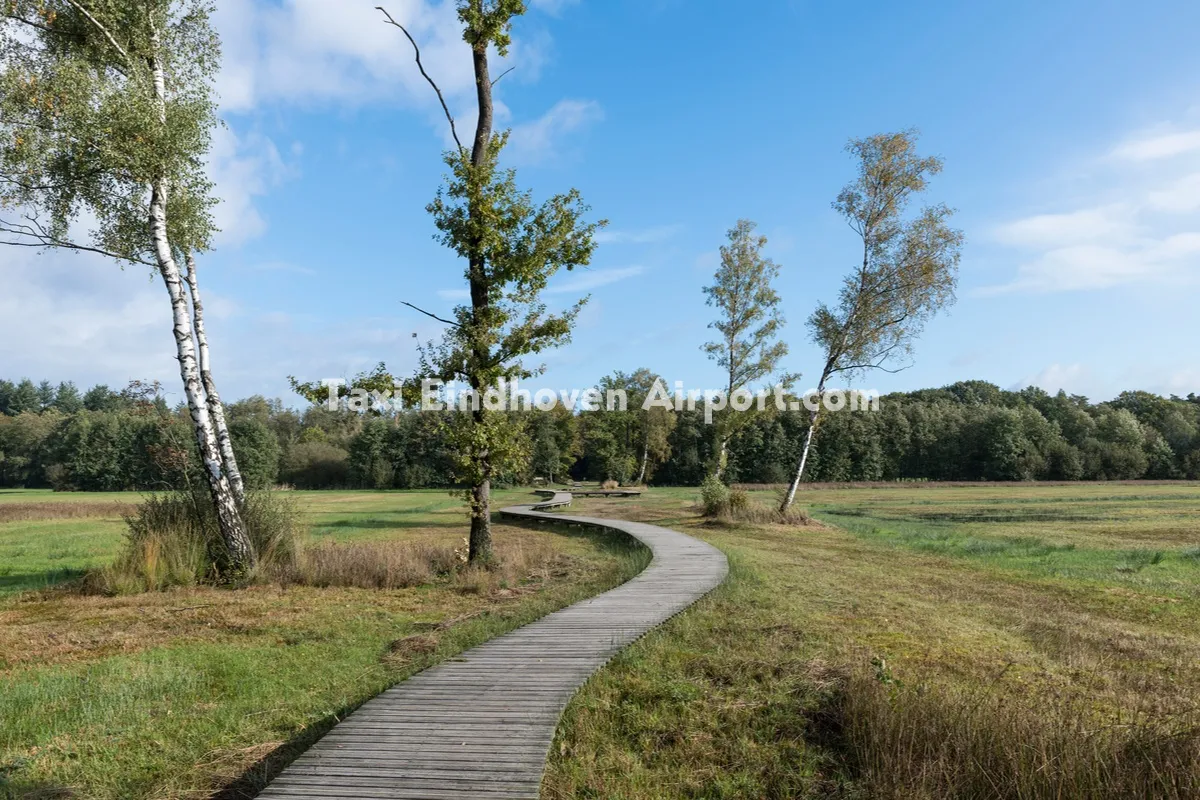 Taxi Epe naar Eindhoven Airport