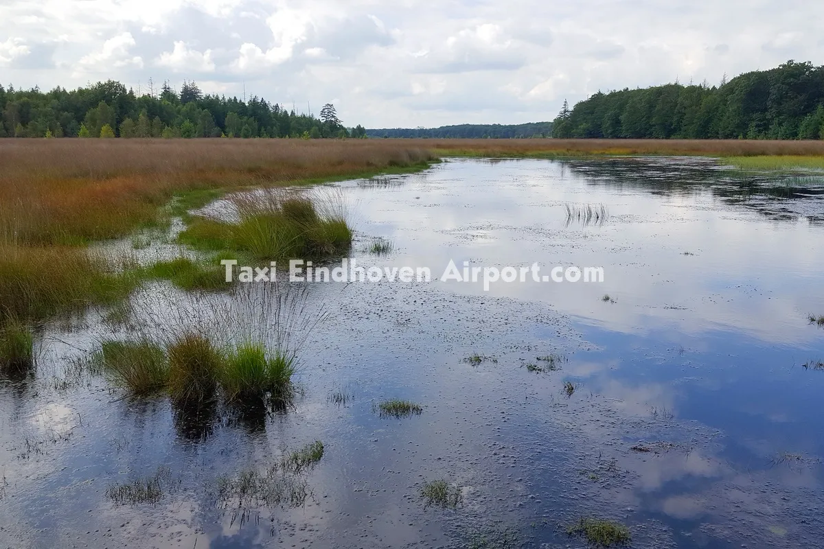 Taxi Grolloo naar Eindhoven Airport