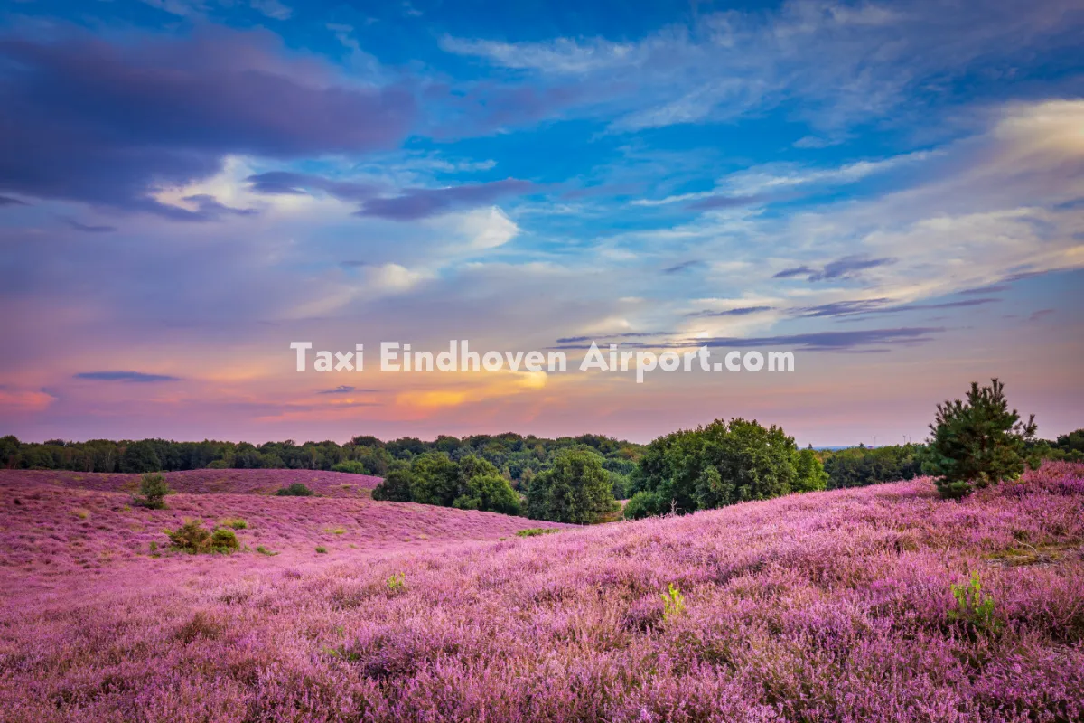 Taxi Oosterbeek naar Eindhoven Airport