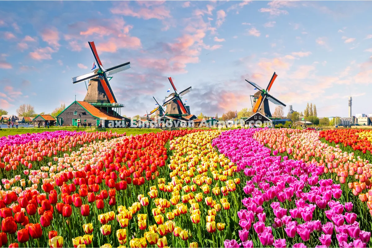 Taxi Zaandam naar Eindhoven Airport