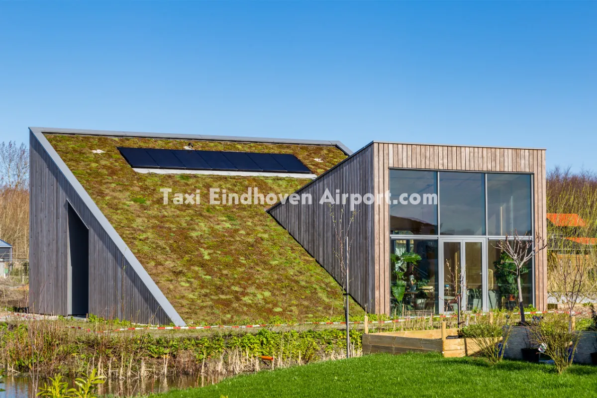 Taxi Zeewolde naar Eindhoven Airport